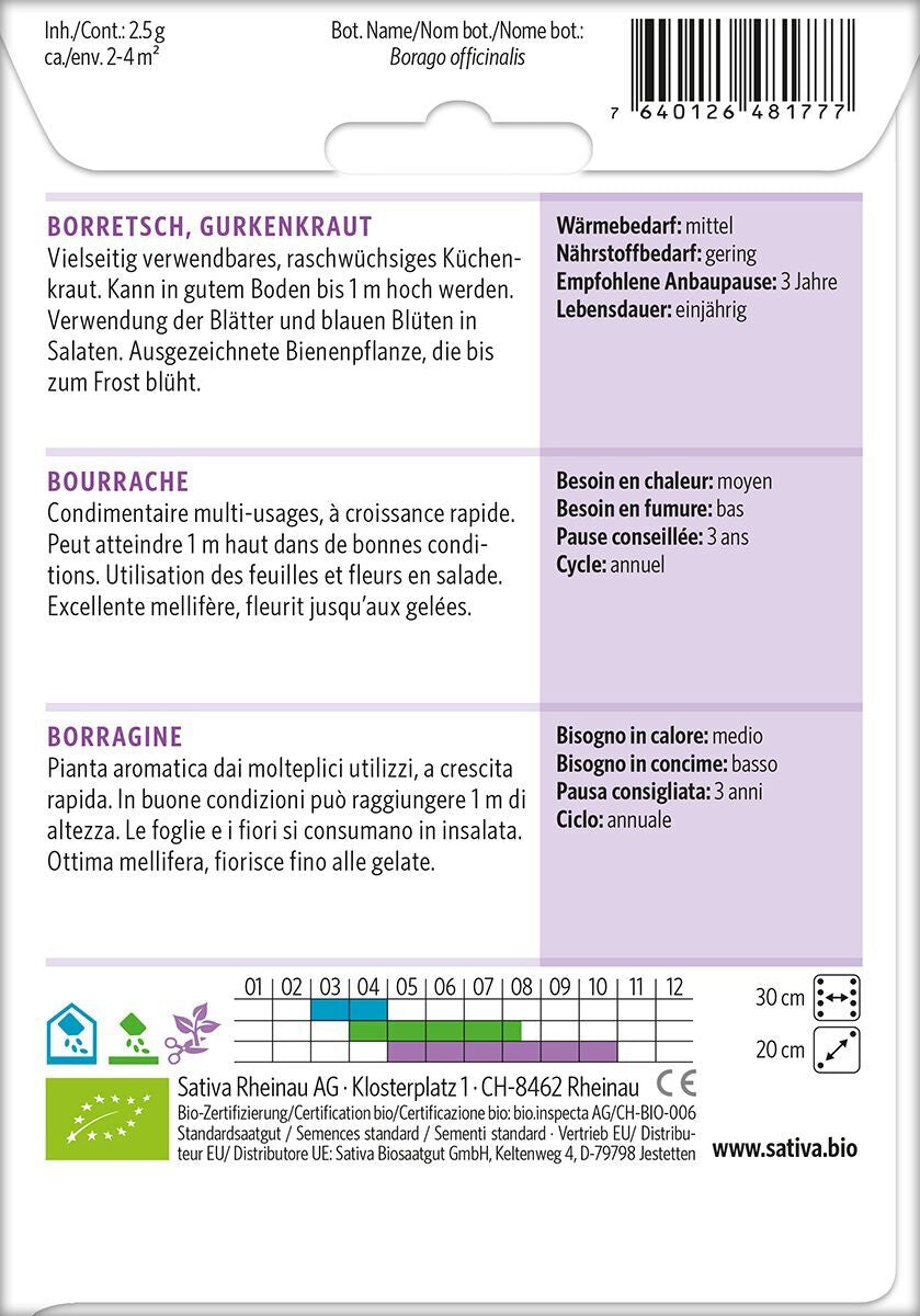 Borretsch-Gurkenkraut-2