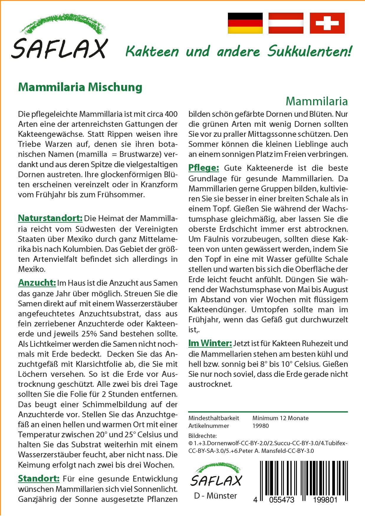 Mammilaria-Mischung2