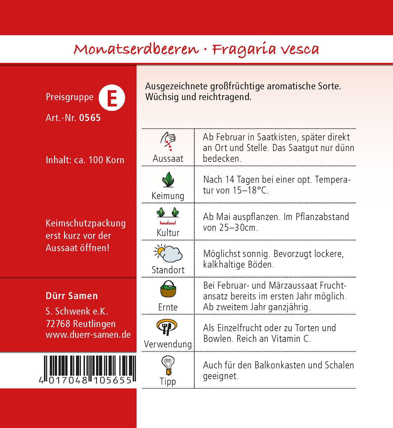 Monatserdbeere-Ruegen-2