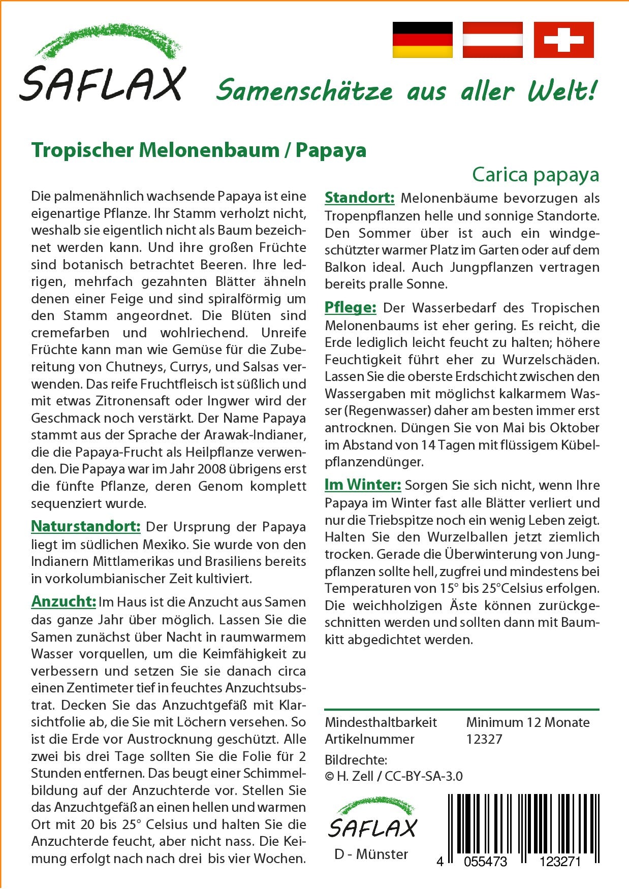 Tropischer-Melonenbaum2