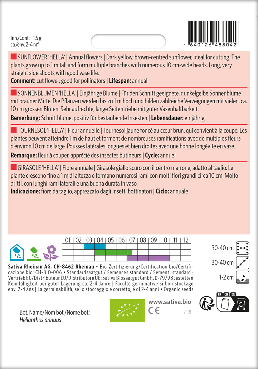 Sonnenblumen 'Hella' - Einjährige Blume