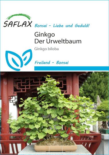 Ginkgo – saatgut-online gmbh