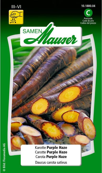 197fda0e-fd4d-491c-bc02-7d6e6cc35469_cropped_720