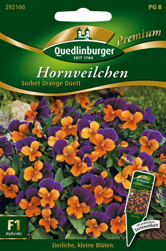 532189-Hornveilchen-Sorbet-Orange-Due-von-Quedlinb