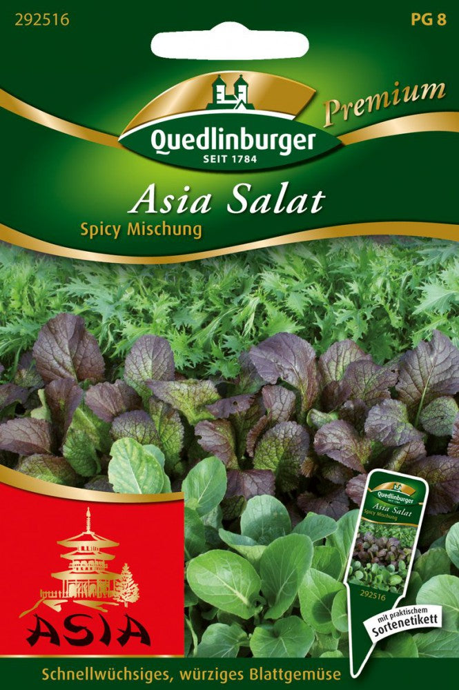532216-Asia-Salat-Spicy-Mischung-von-Quedlinburger