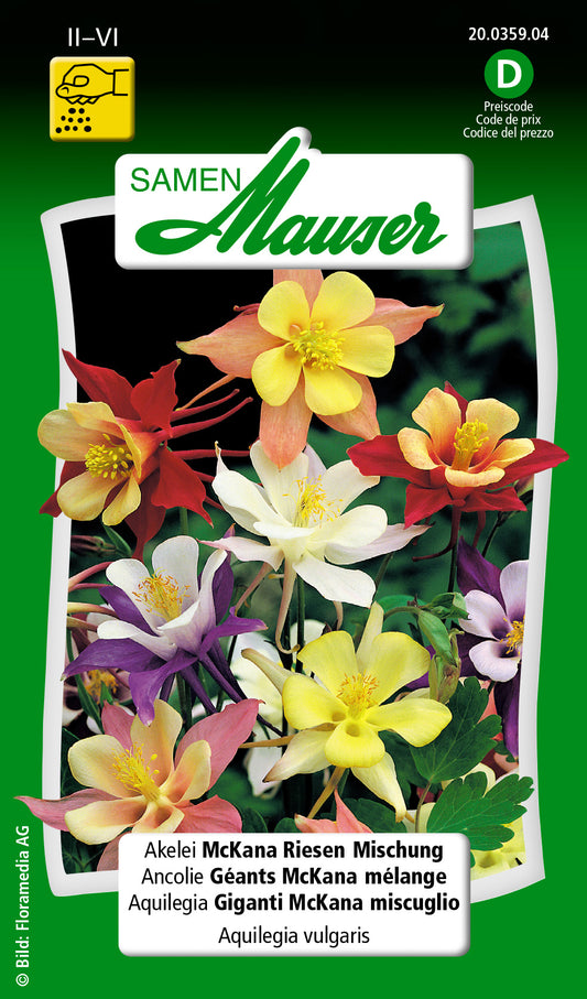 Aquilegia-vulgaris-Akelei-McKana_20035904