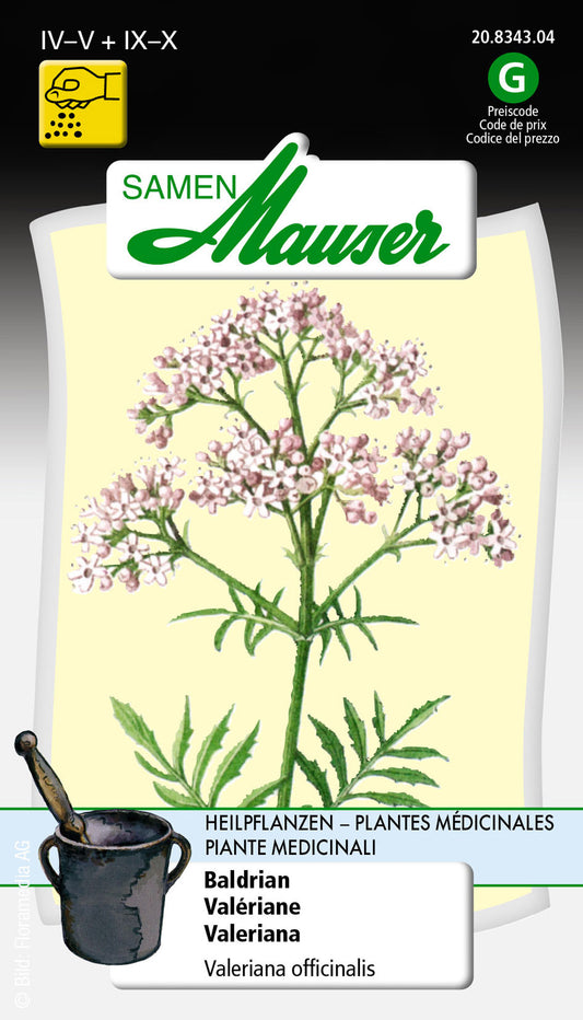 Baldrian_20834304