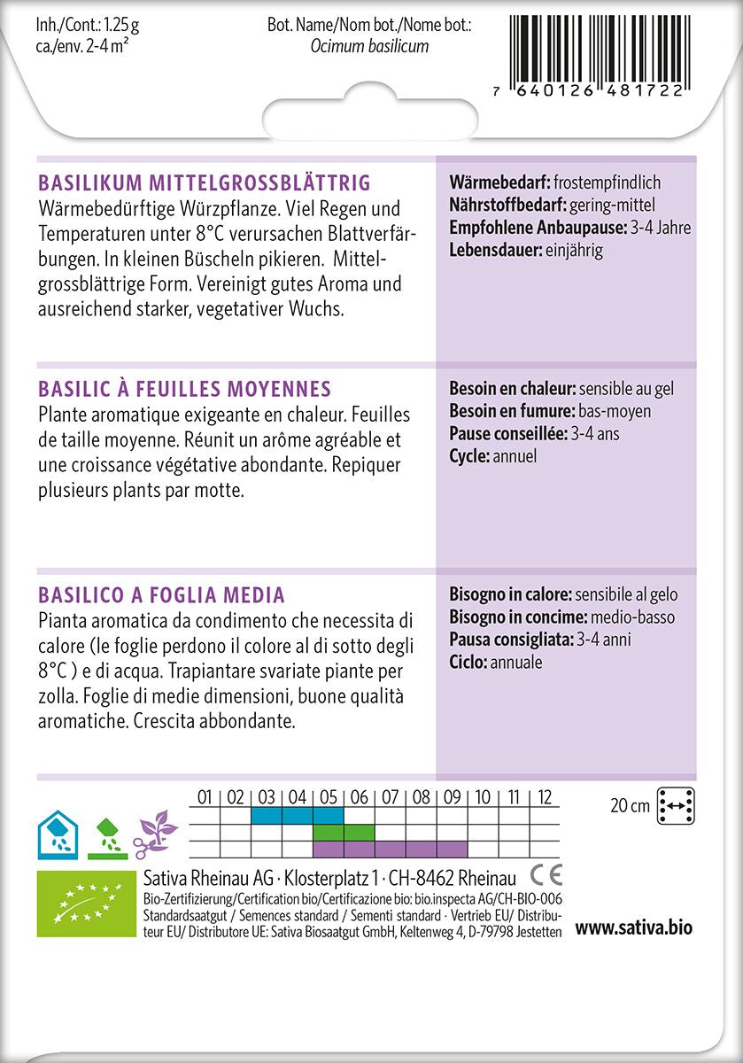 Basilikum-mittelgrossblattrig-2