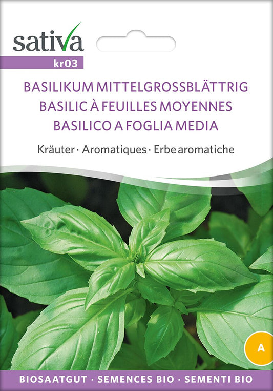 Basilikum-mittelgrossblattrig