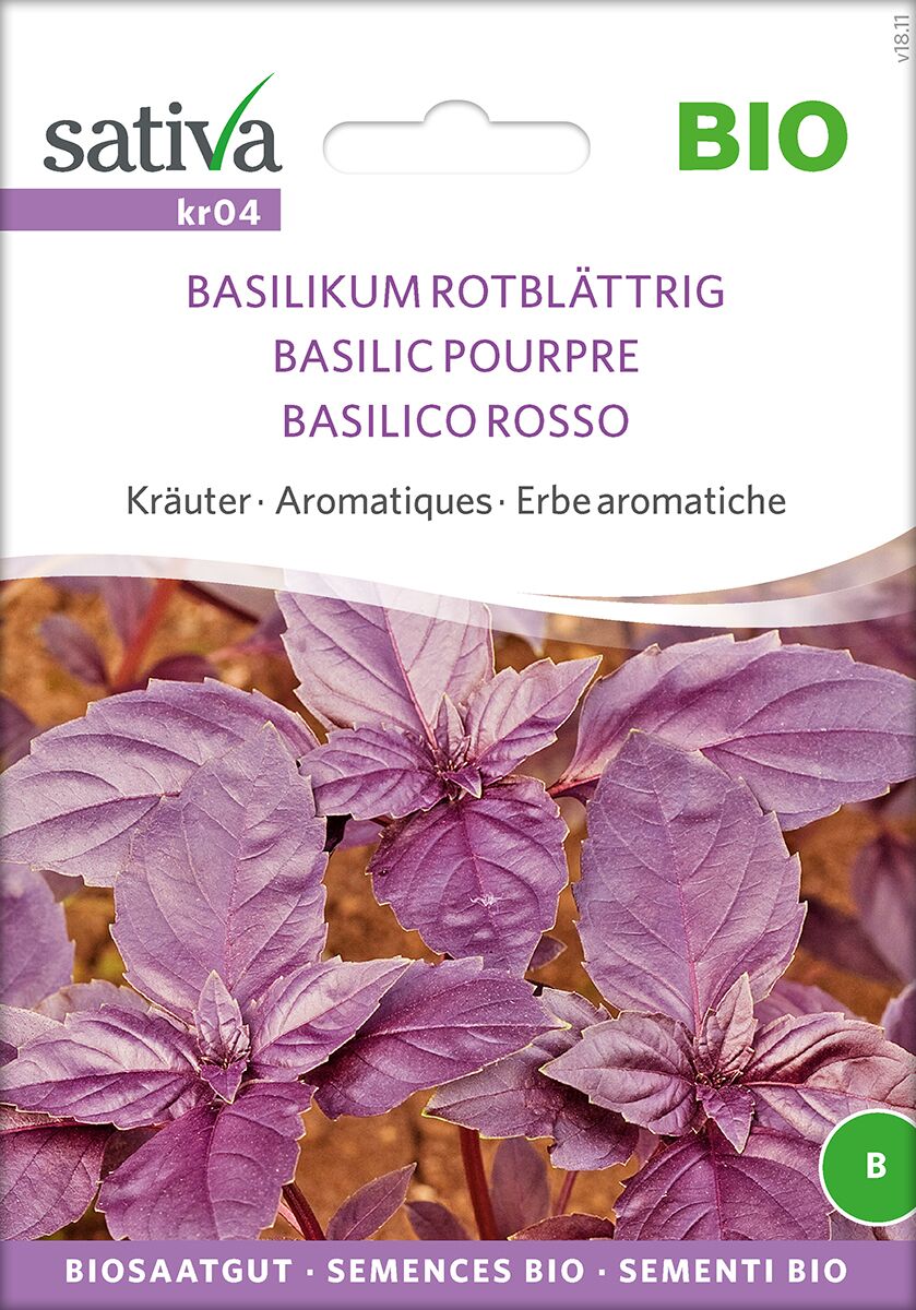Basilikum-rottblattrig