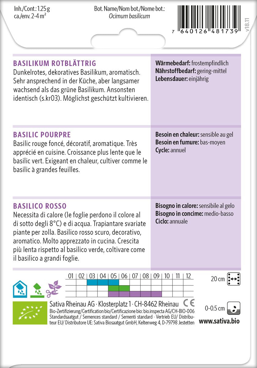 Basilikum-rottblattrig1