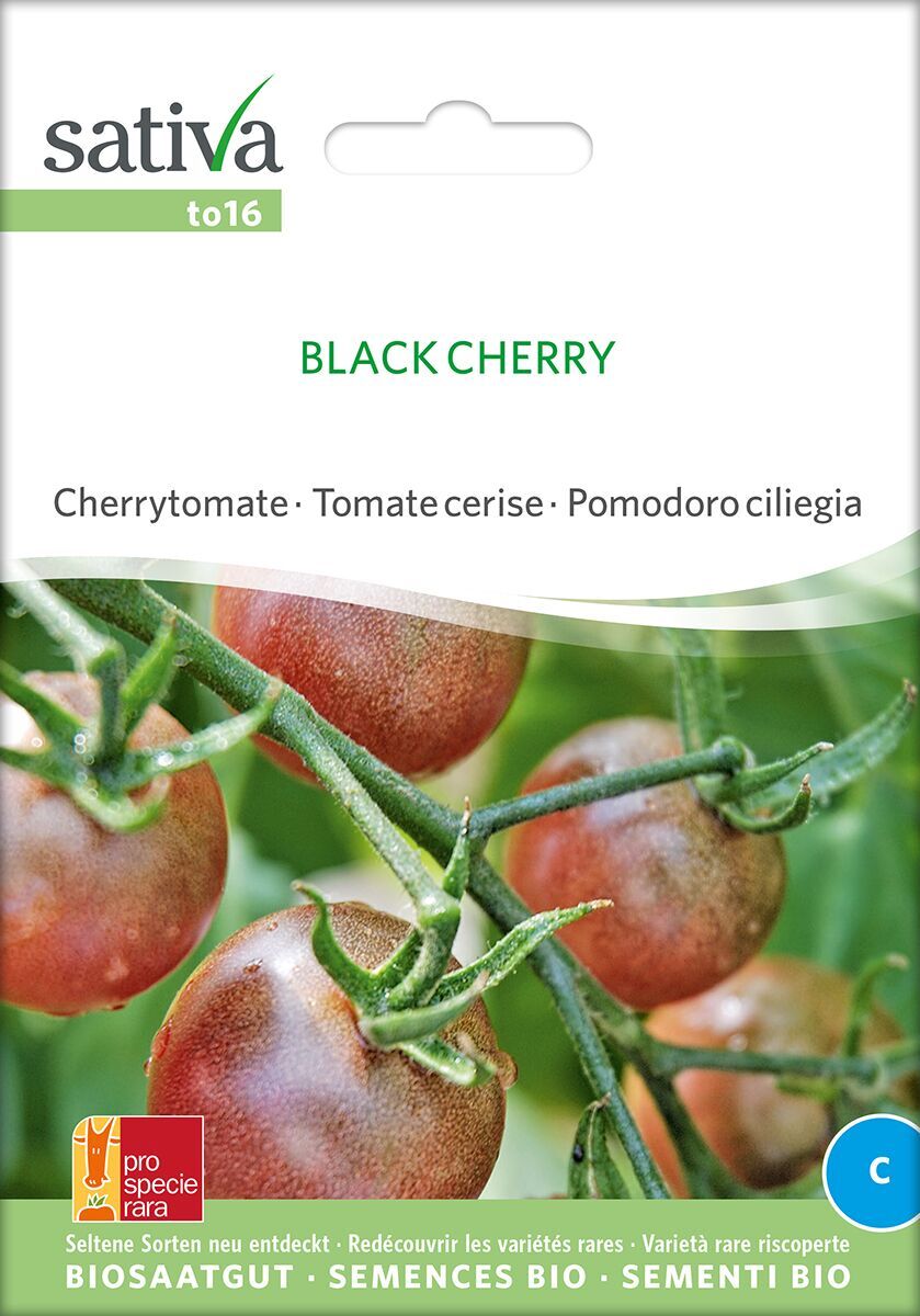 Black-Cherry