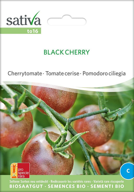 Black-Cherry