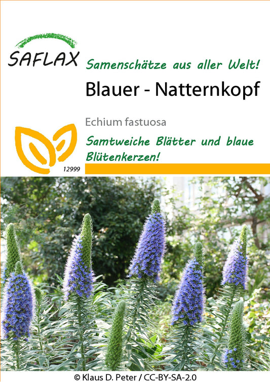 Blauer-Natternkopf1