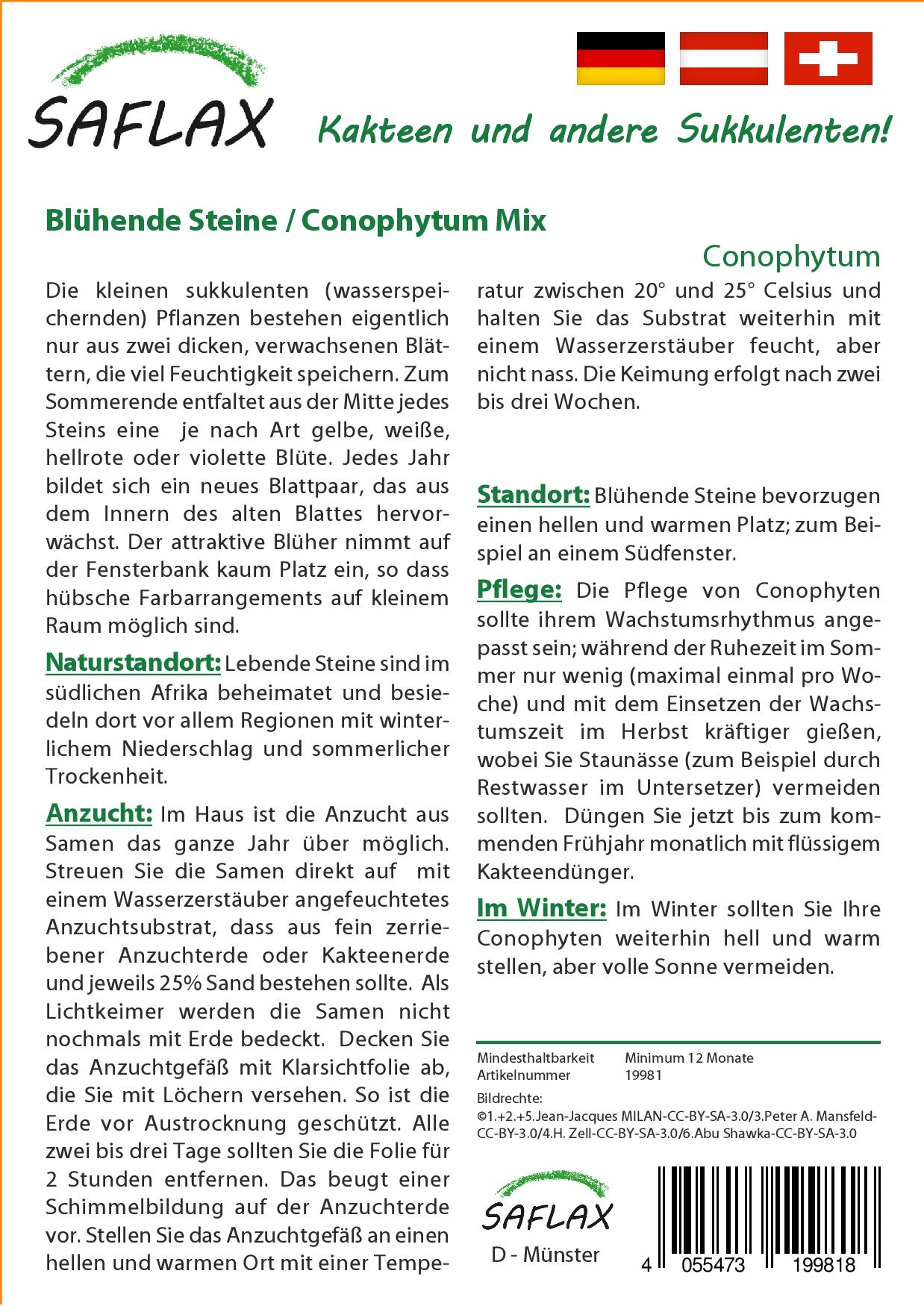 Bluhende-Steine2