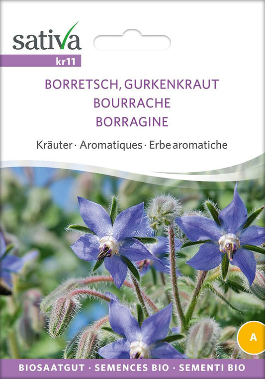 Borretsch-Gurkenkraut