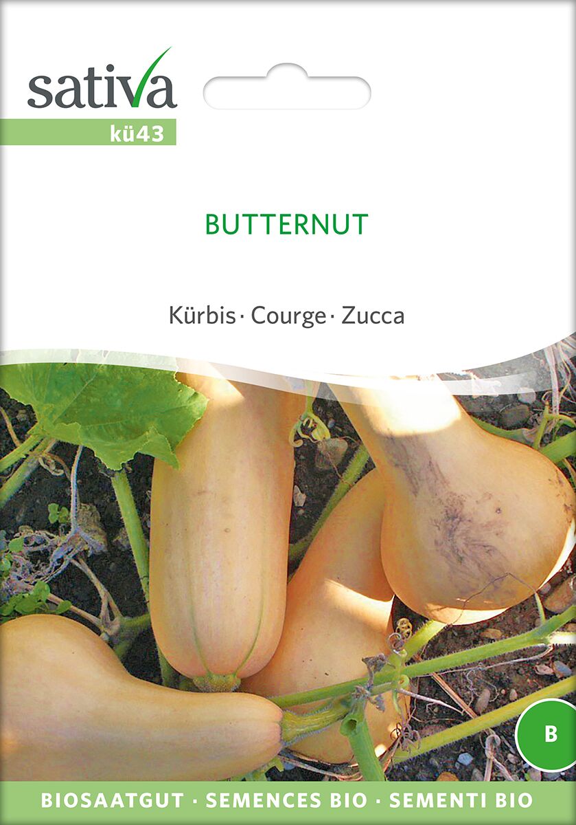 Butternut