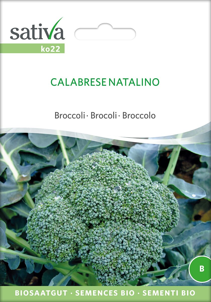 Calabrese-Natalino