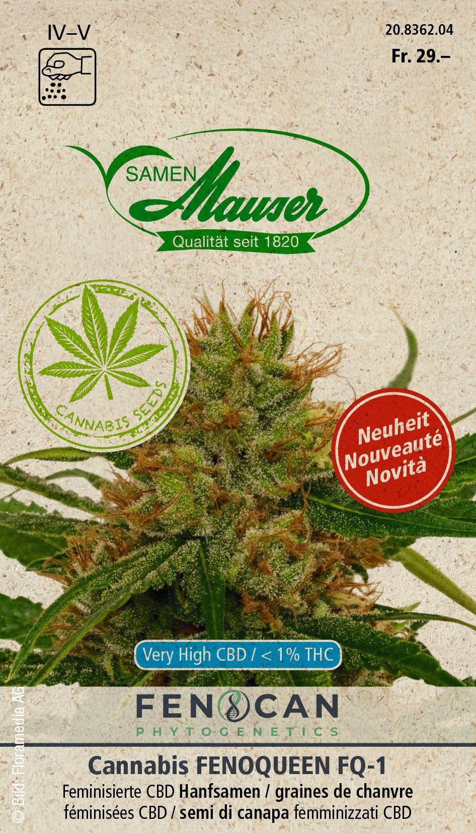 Cannabis-Hanf-Fenoqueen_20836204