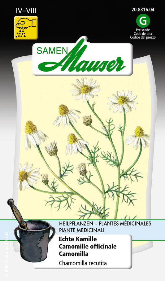 Chamomilla-Echte-Kamille-Heilpflanze_20831604