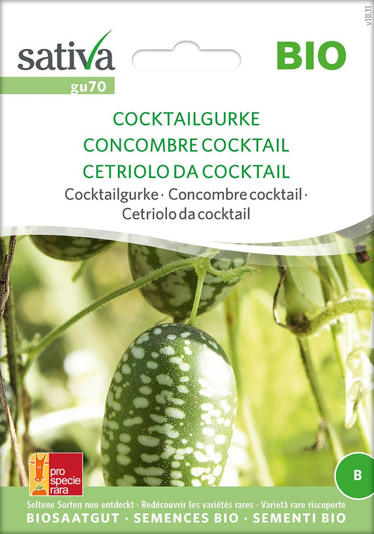 Cocktailgurke1