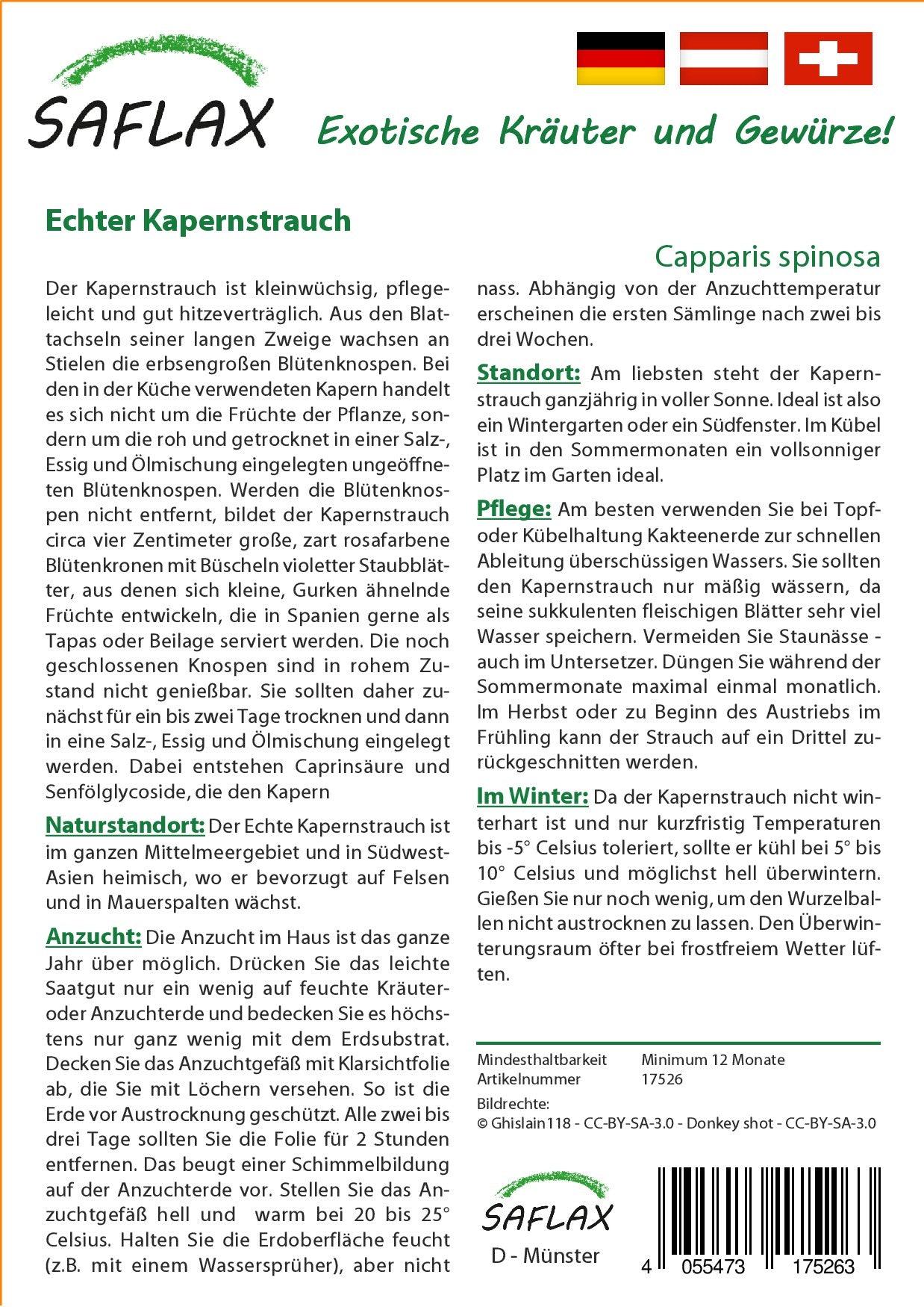 Echter-Kapernstrauch2