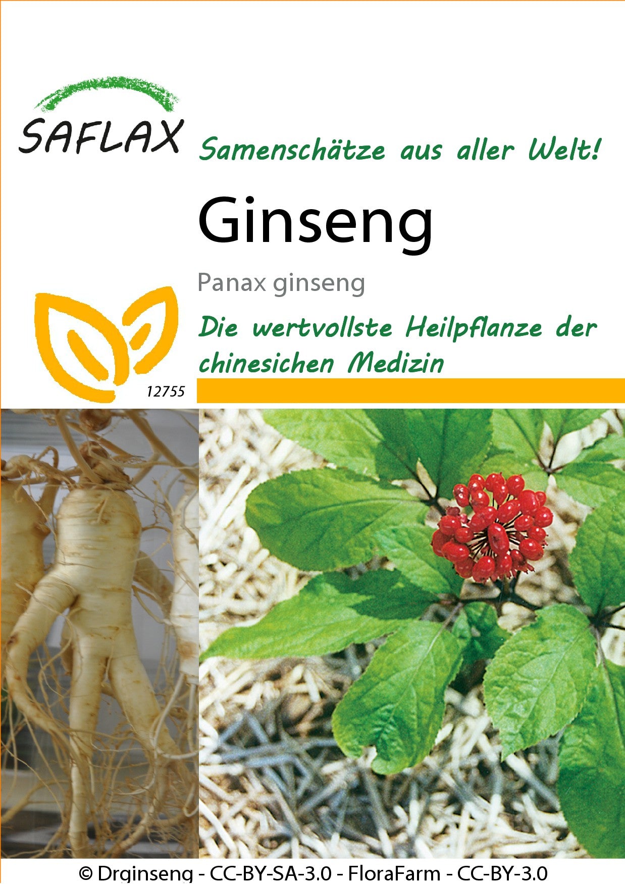 Ginseng1