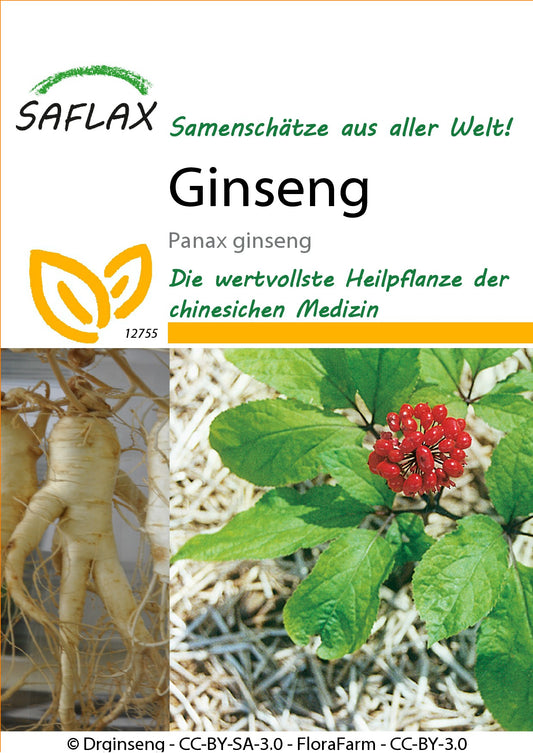 Ginseng1