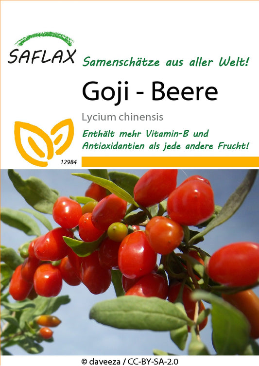 Goji-Beere1