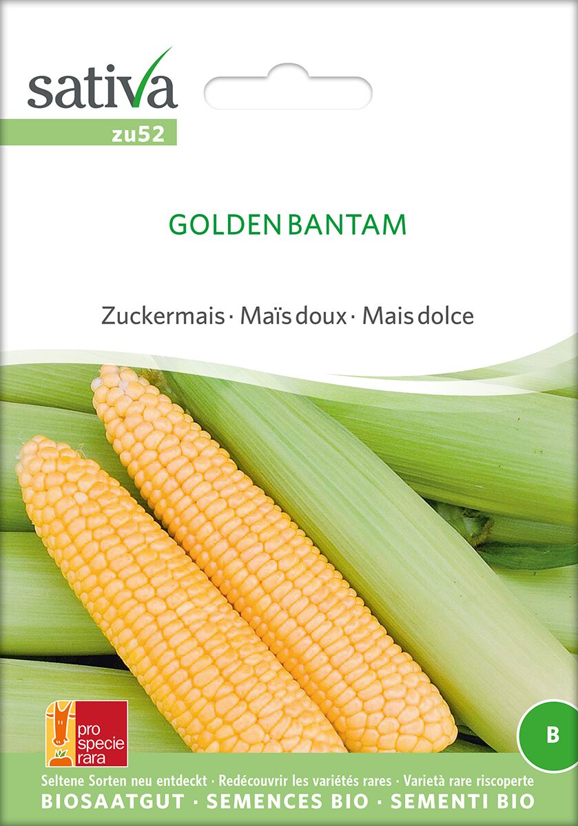 Golden-Bantam