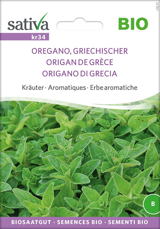 Griechischer-Oregano
