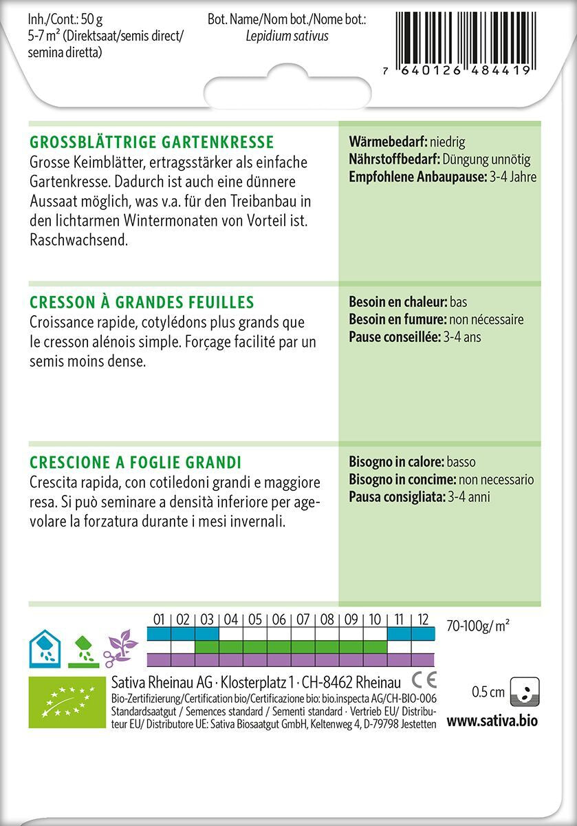 Grossblattrige-Gartenkresse-2