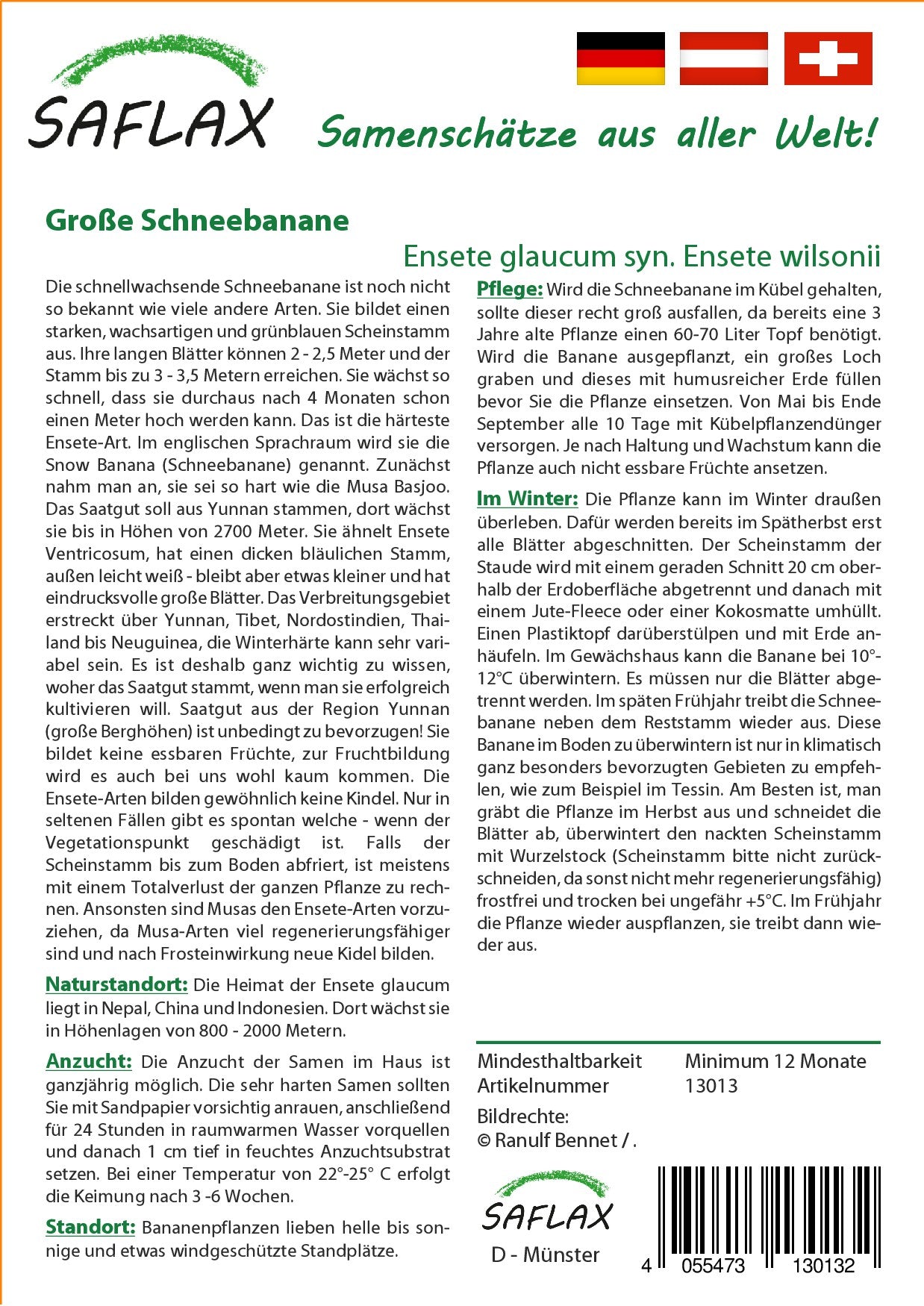 Grosse-Schneebanane2