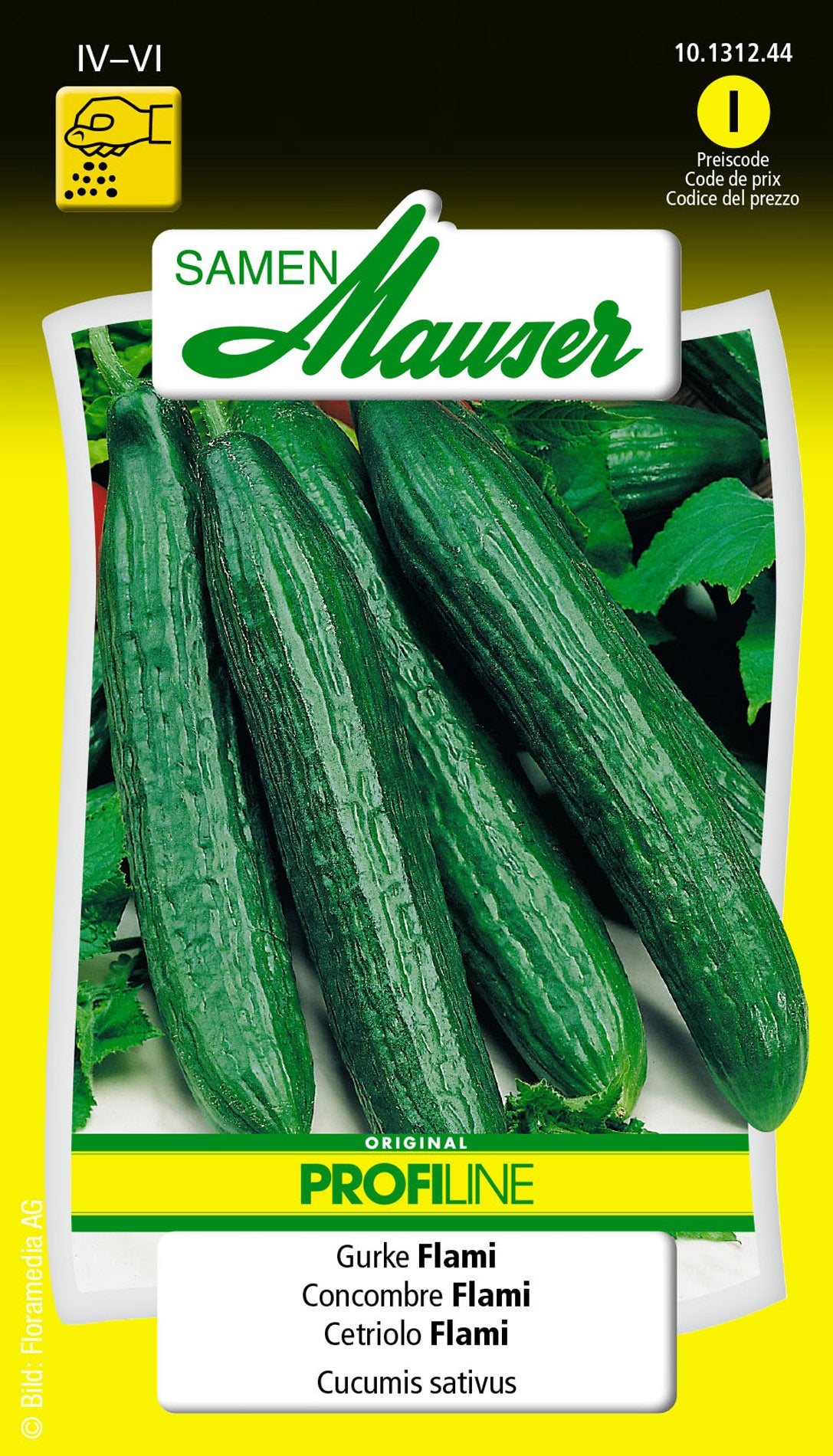 Gurke-Flami_10131244