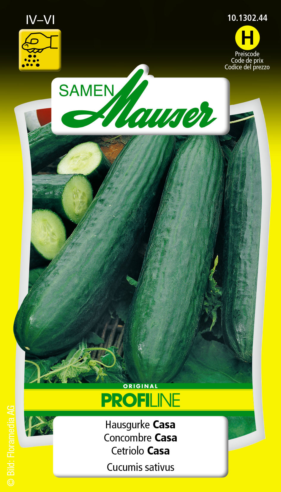 Hausgurke-Casa_10130244