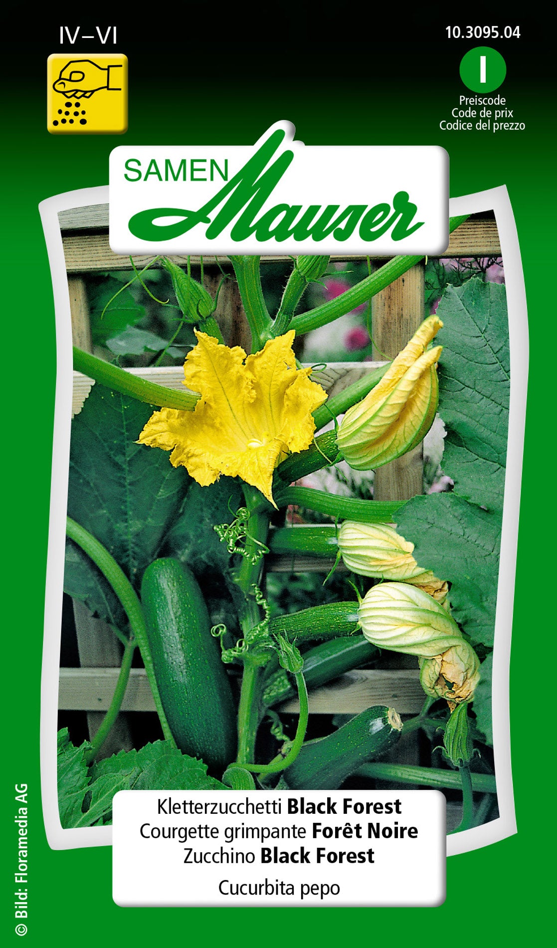 Kletterzucchetti-Black-Forest_10309504