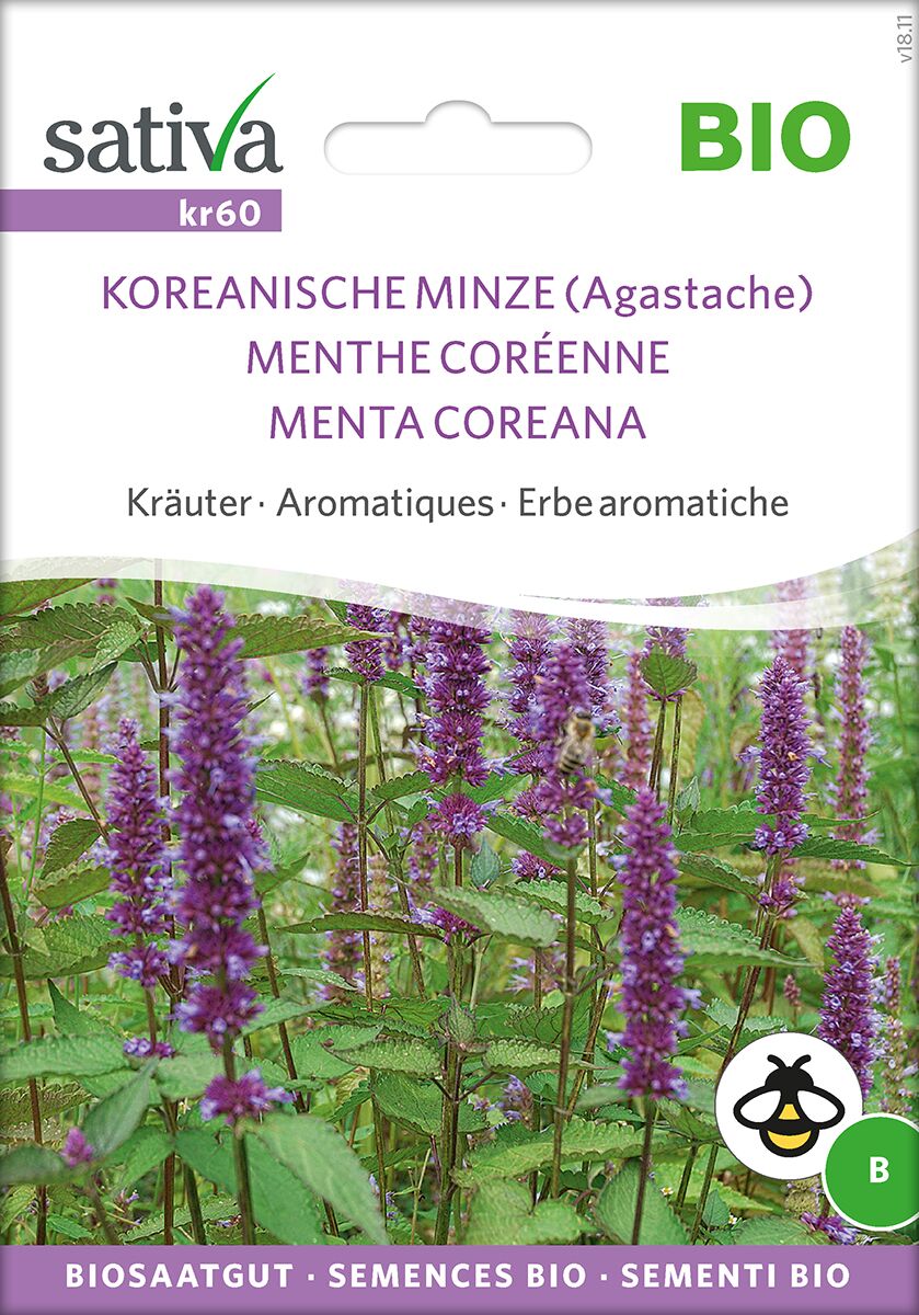 Koreanische-Minze