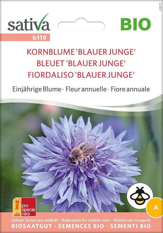 Kornblume