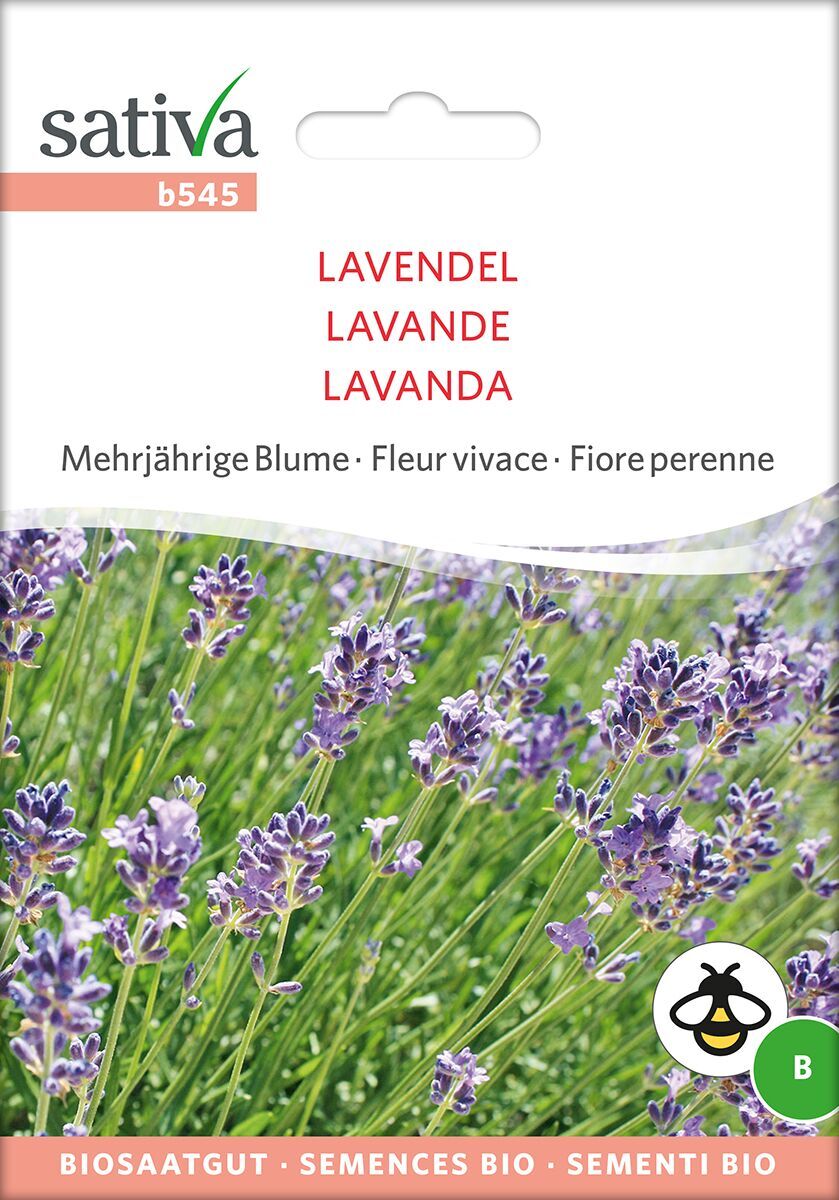 Lavendel