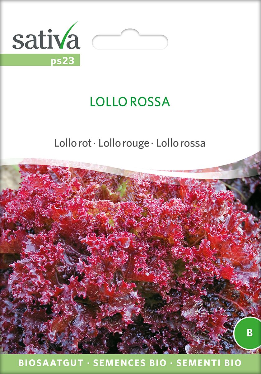 Lollo-Rossa