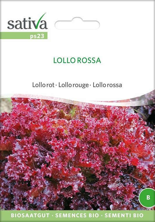 Lollo-Rossa