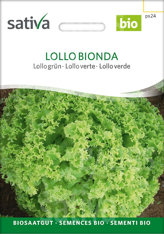 Lollosalat grün Lollo Bionda