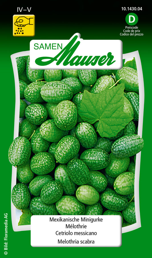 Mexikanische-Minigurke_10143004