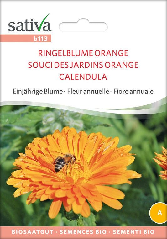 Ringelblume-Orange