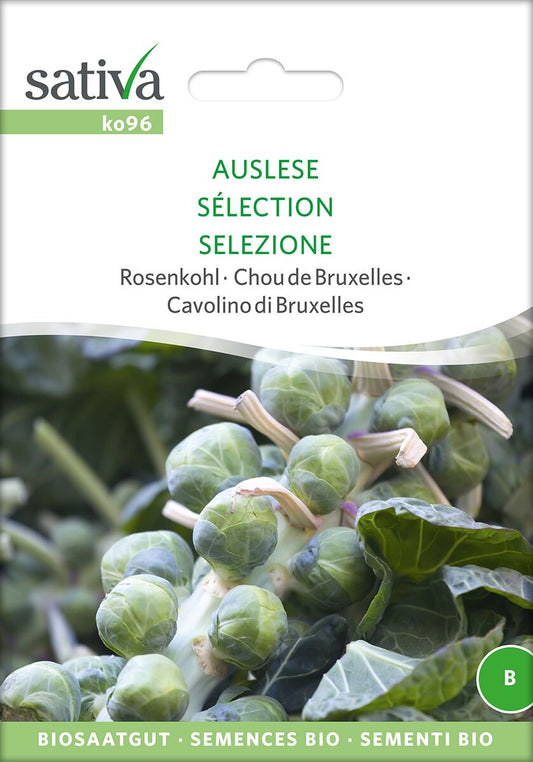 Rosenkohl-Auslese