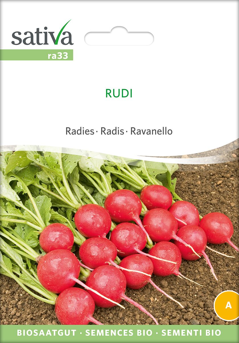 Rudi