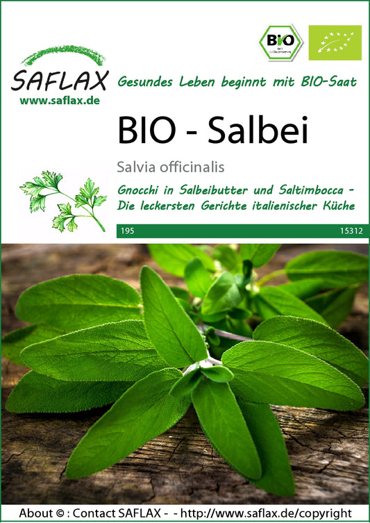 Saflax-Bio-Salbei-VSU09XO5bjaDOcN