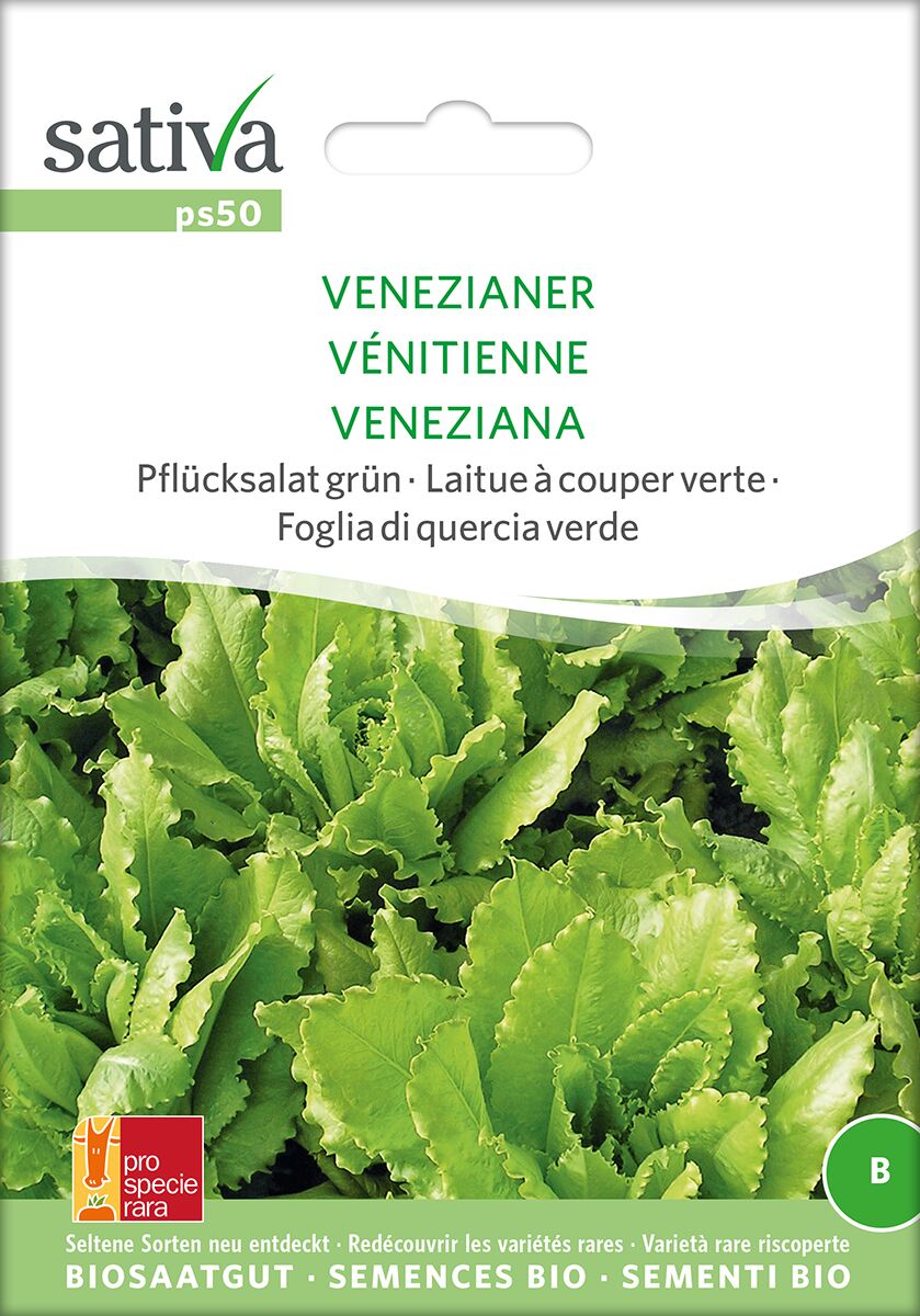 Salat-Gruner-Venezianer