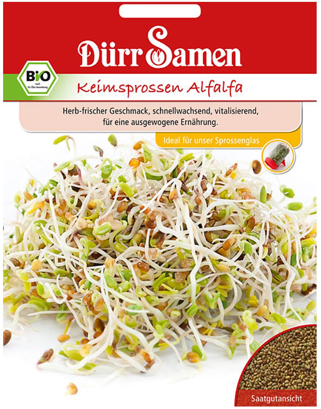 Samen-Keimsprossen-Alfalfa