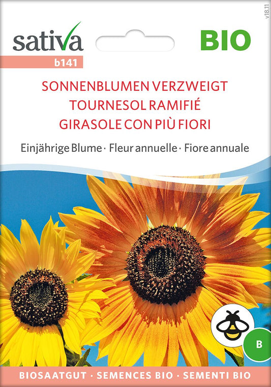 Sonnenblumen-verzweigt